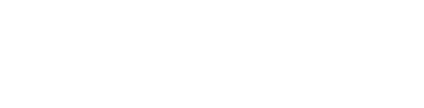 bmv